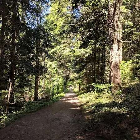 у сестер Отель Сходница